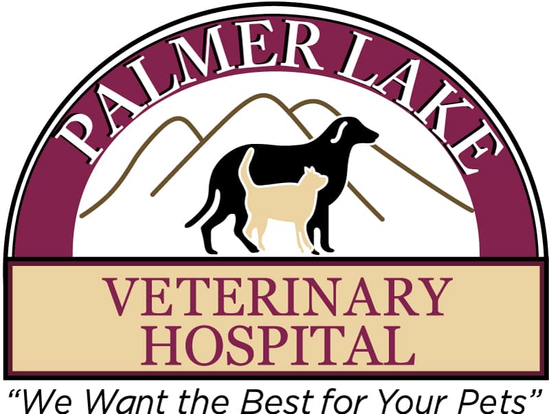 City Vets Logo